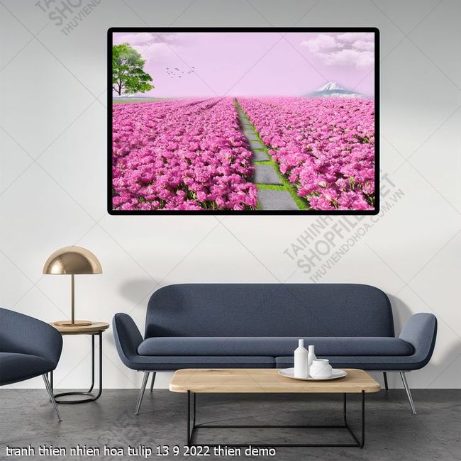 tranh thien nhien hoa tulip 13 9 2022 thien